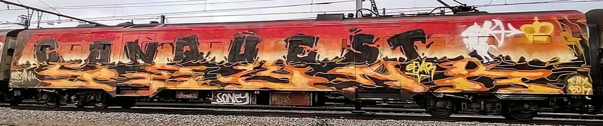 seyar_mr-wholecar_011