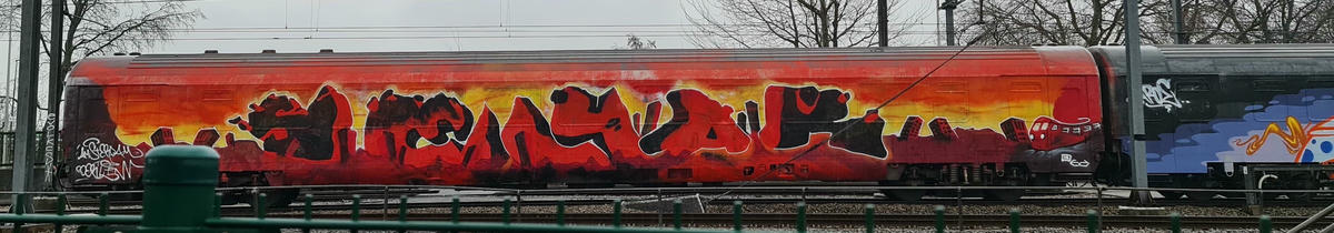 seyar_mr-wholecar_012