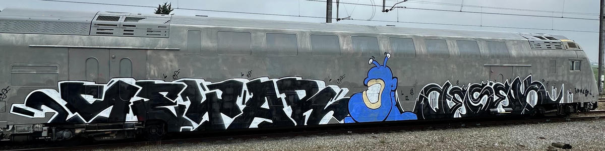seyar_mr-wholecar_018