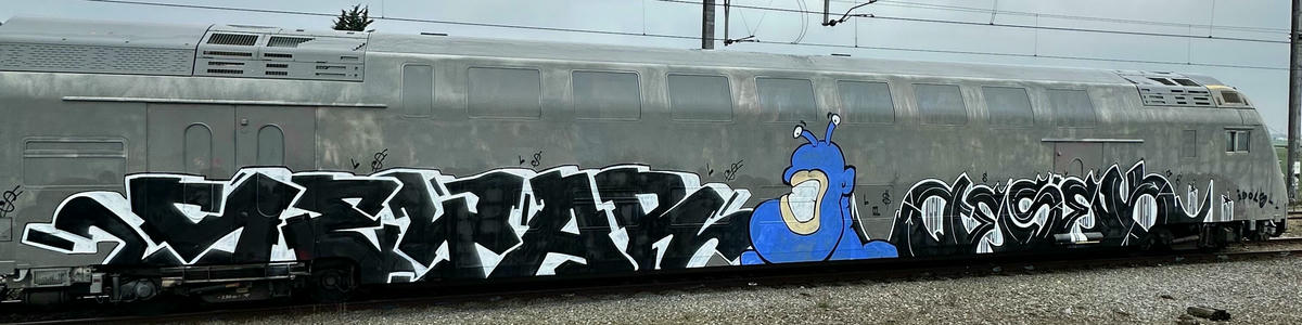 seyar_mr-wholecar_018