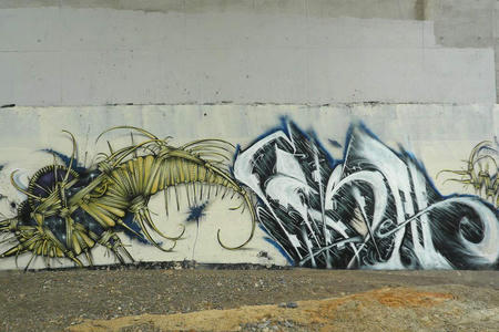 Japan 24