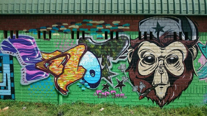snot-star-13-2017
