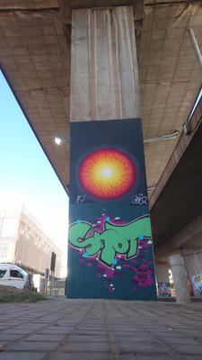 snot-star-17-2017