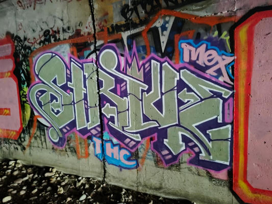 strive_2025_01
