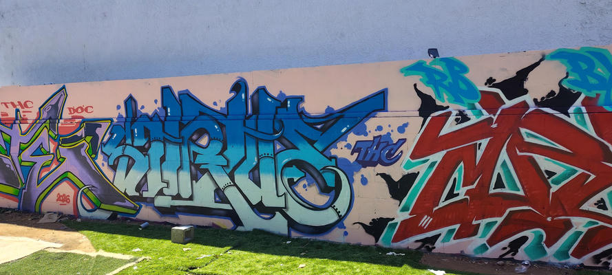 strive_2026_01