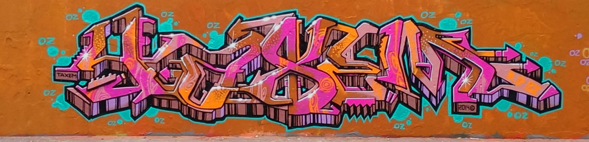 taxem_2014_01
