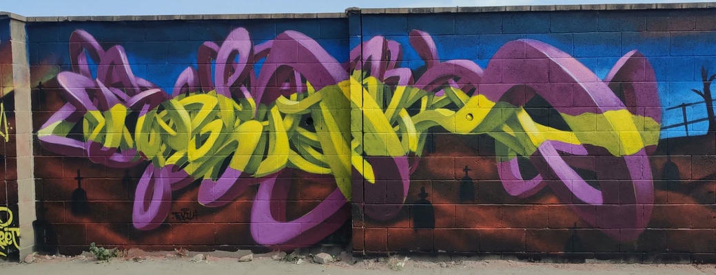 tekila-2025-13