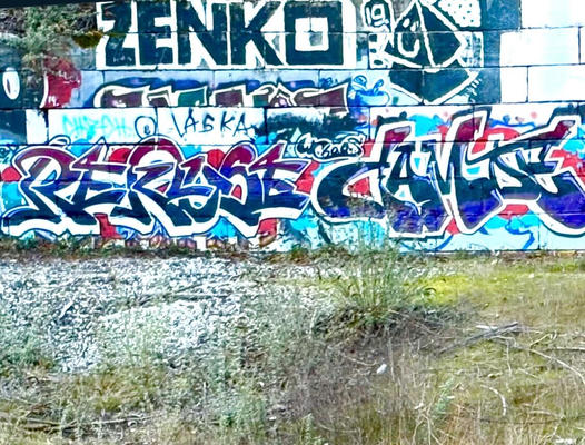 tha_krew_reks_camoe_01