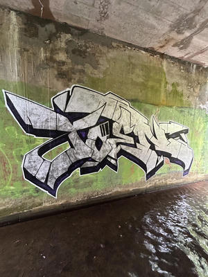 toen_2026_06