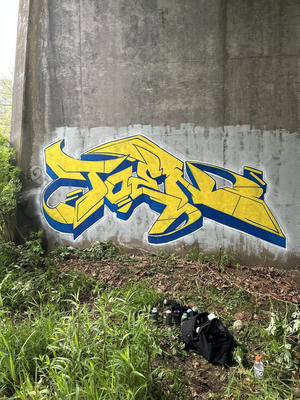 toen_2026_08