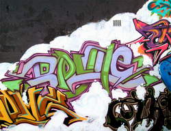 south_africa_2009_bryite1_02x.jpg