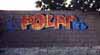 polar - tb