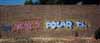 nead/polar