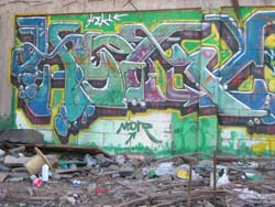 tjmex105-0568_imgx.jpg