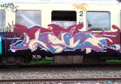 sas_dsc00337x.jpg