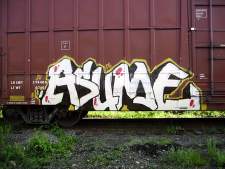 asume_sry2006x.jpg