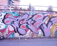 zin587x.jpg